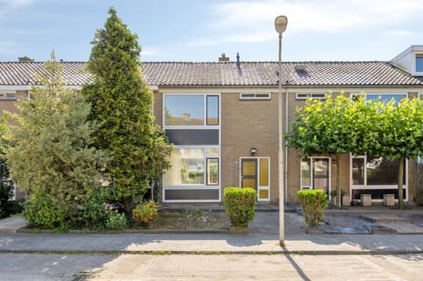 Troelstrastraat thumbnail