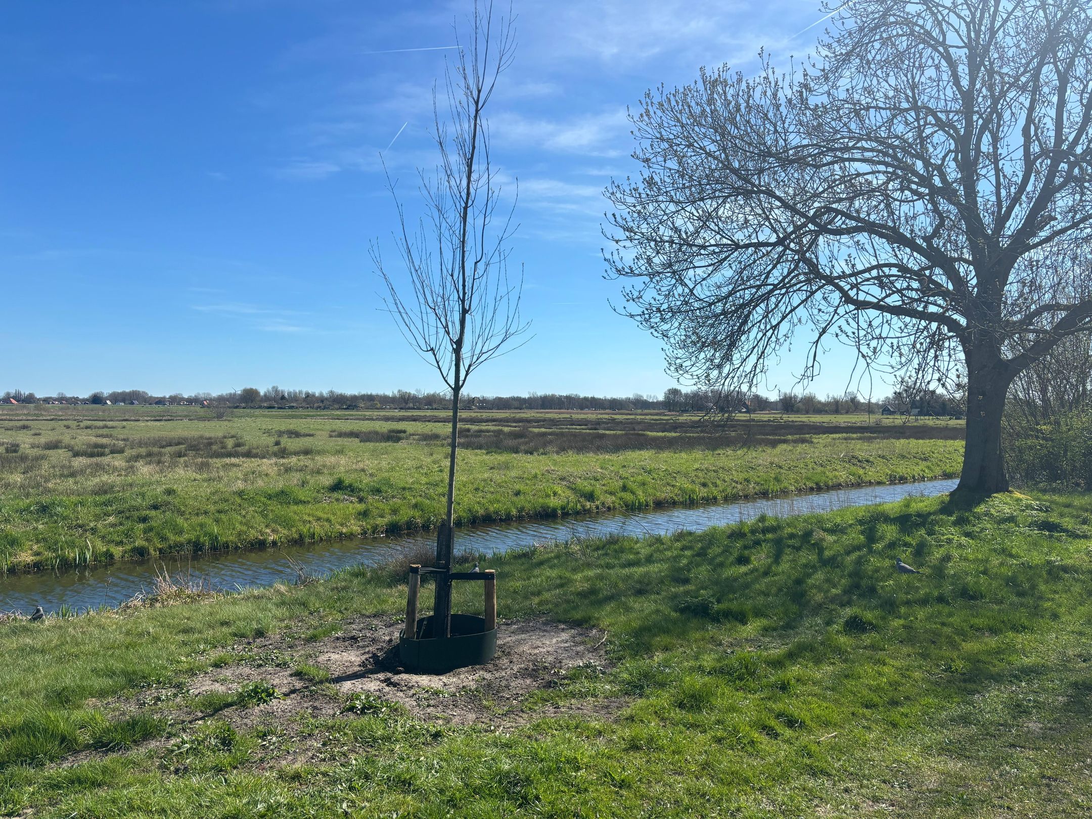 Photo 36 of Zijl 85
