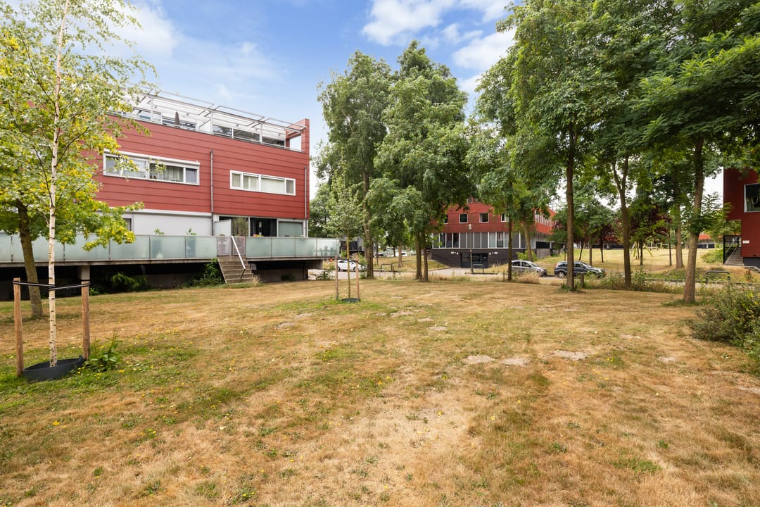 Photo 38 of Meerval 20