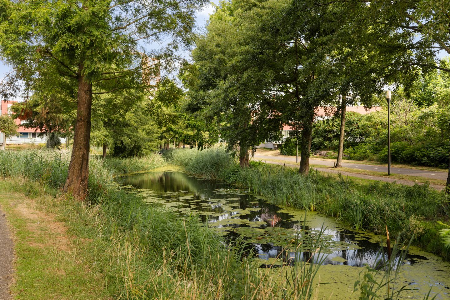 Photo 35 of Meerval 20