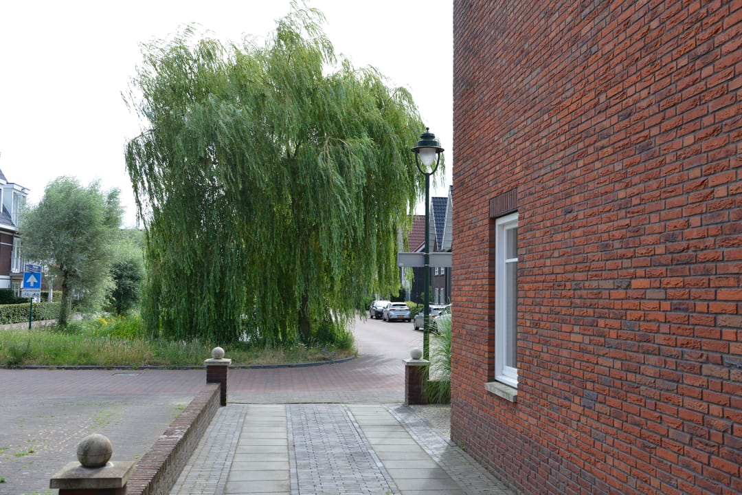 Foto 31 van Beukeboomstraat 6