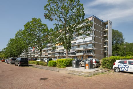 Buizerdstraat thumbnail
