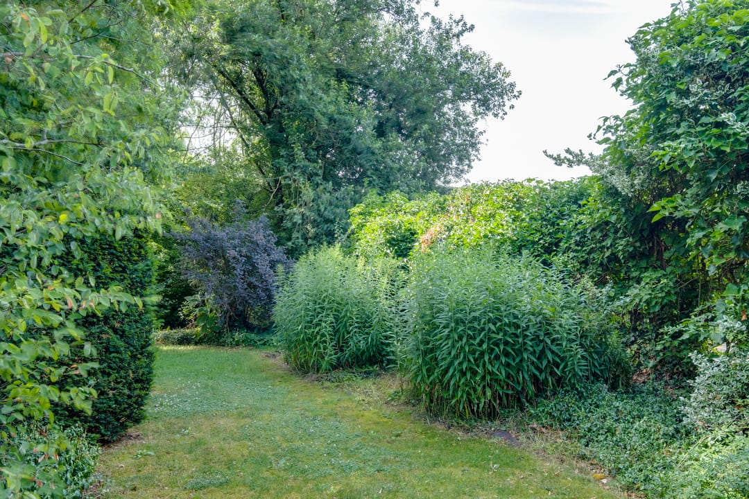 Photo 38 of Bruggertweg 3-A