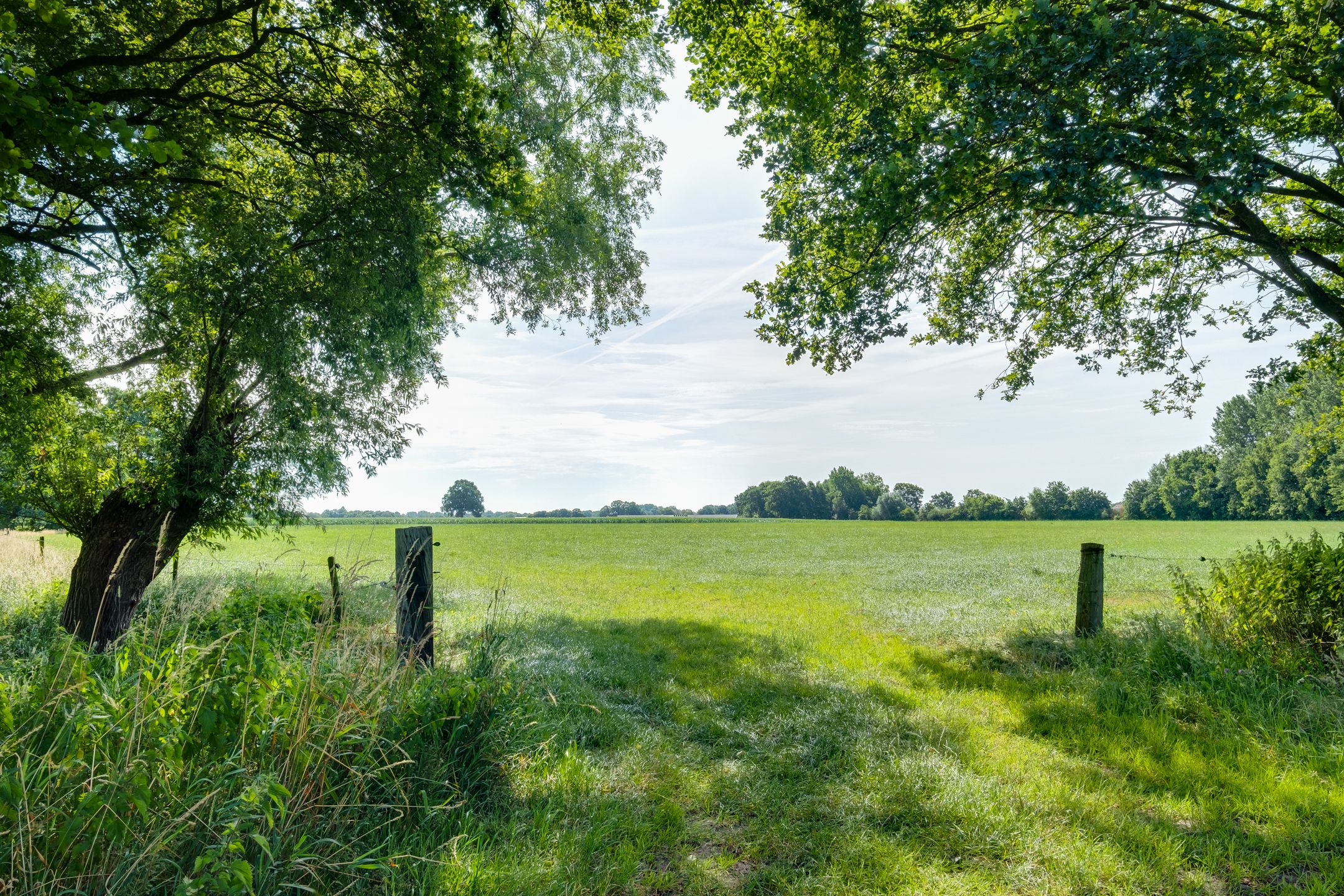 Photo 42 of Bruggertweg 3-A