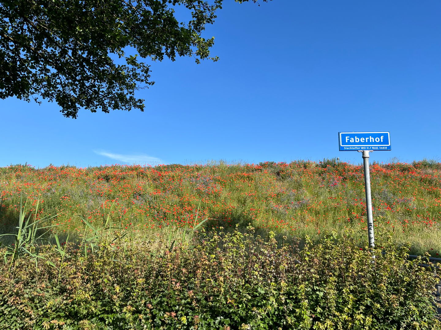 Photo 50 of Faberhof 58