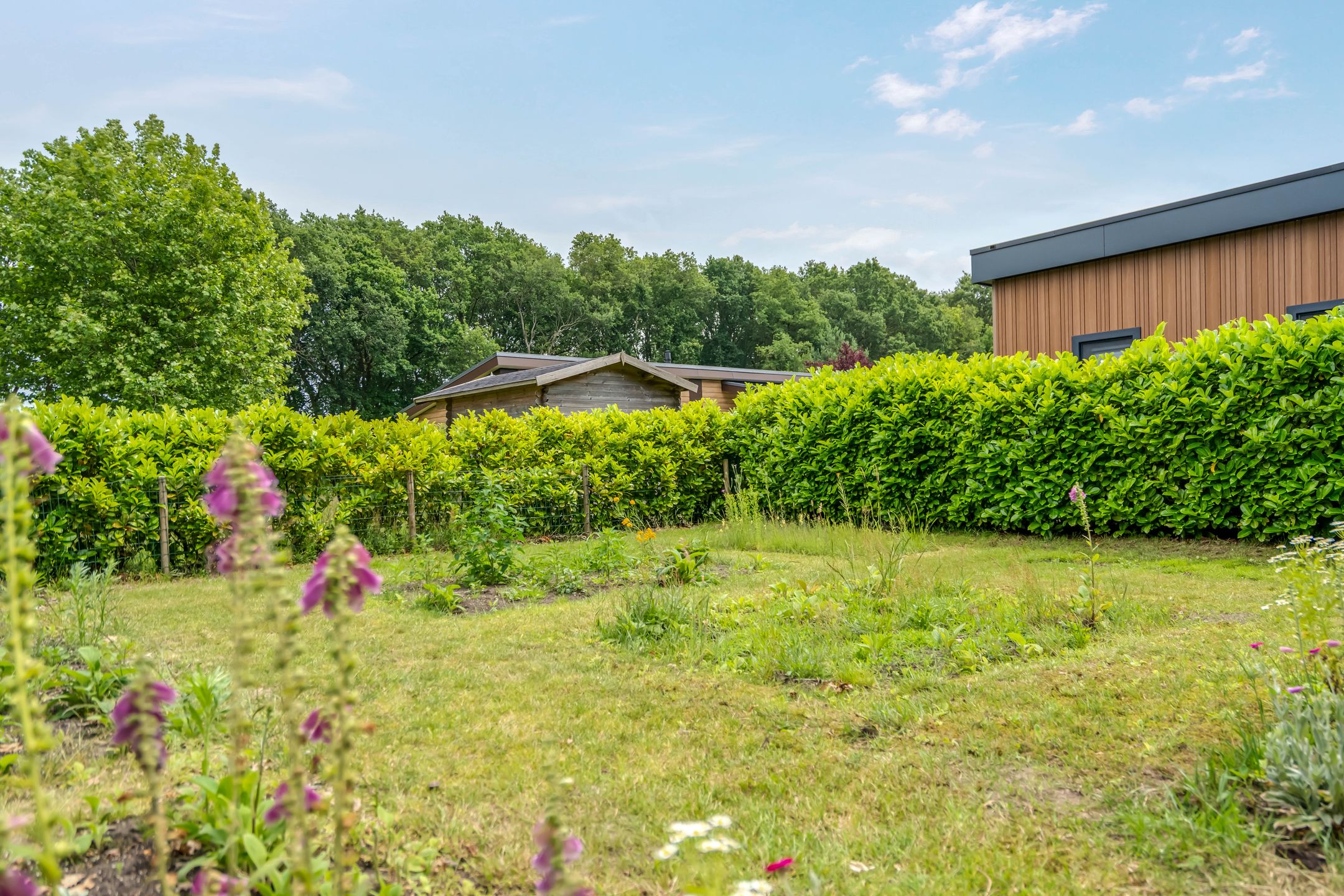 studio freehold villa in Sint Jansklooster — photo 4 of 5