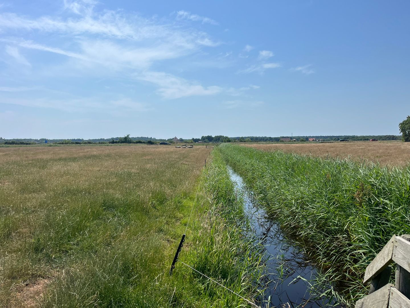 Bekijk foto 4 van Percelen grasland aan Pontweg