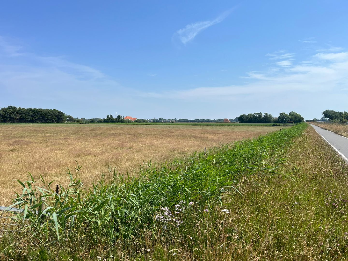 Bekijk foto 3 van Percelen grasland aan Pontweg