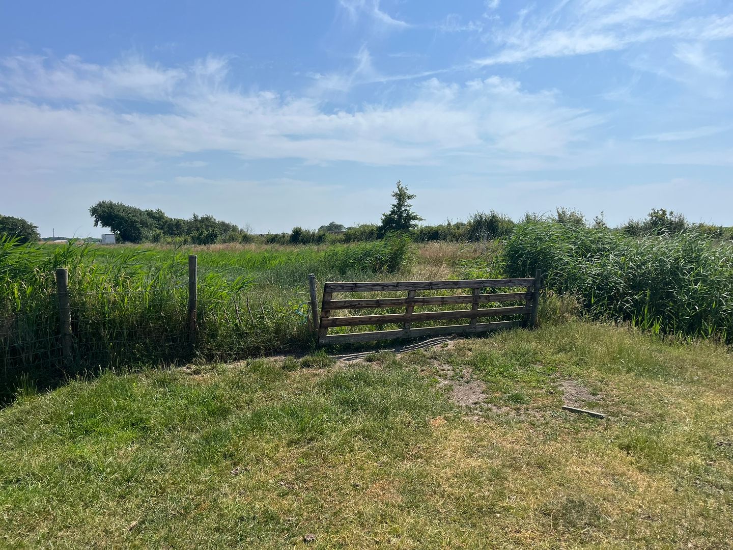 Percelen grasland aan Pontweg - Den Burg - Afbeelding 7