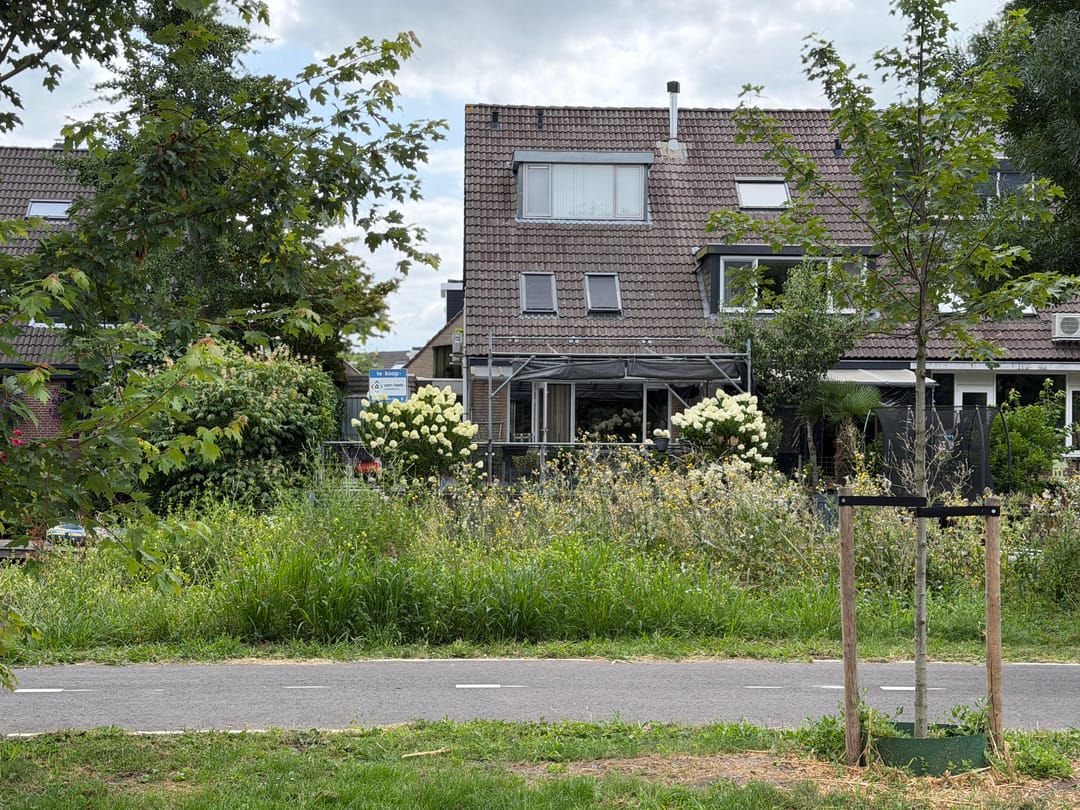 Foto 43 van Begoniaveld 45