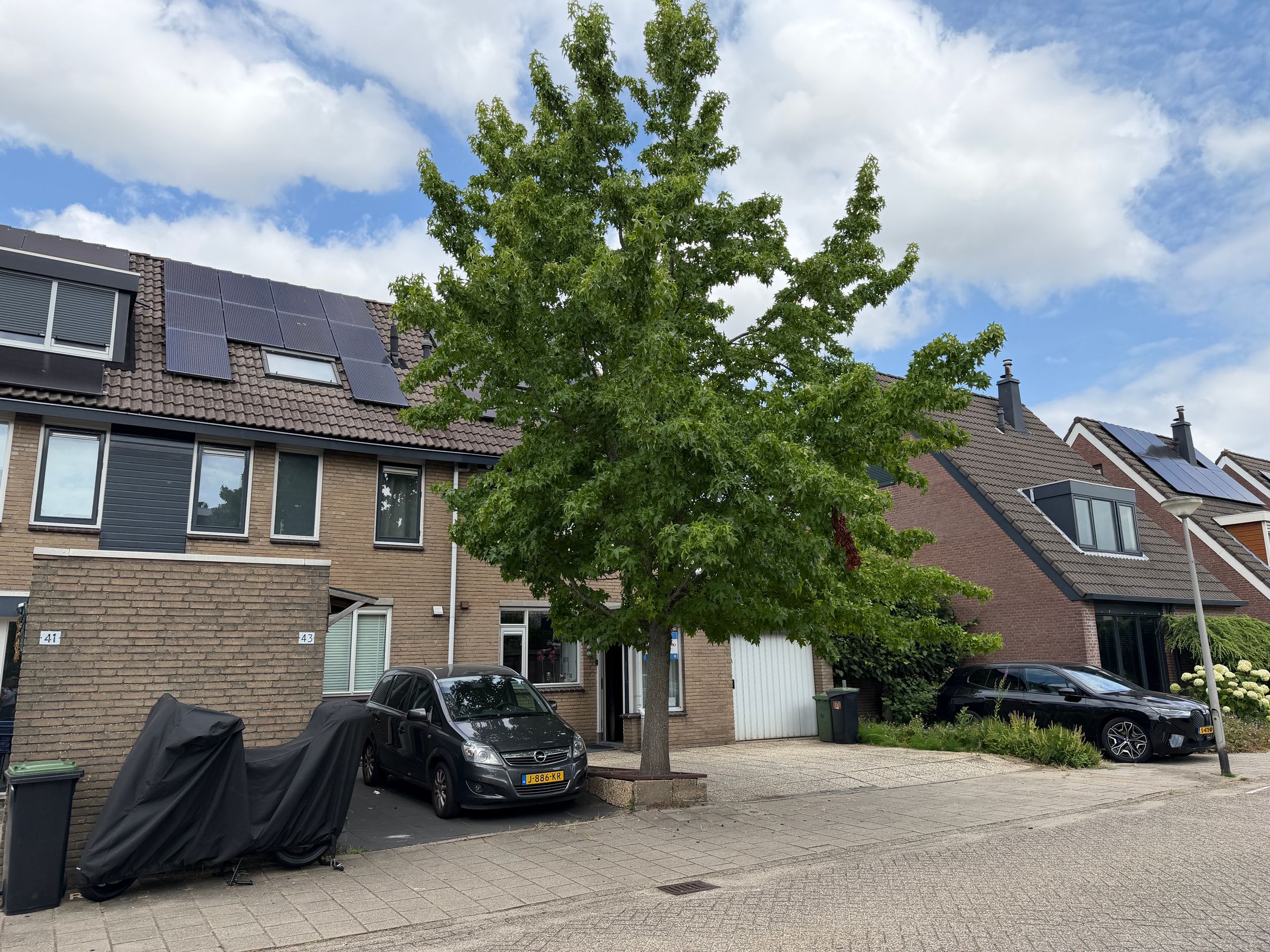 Foto 45 van Begoniaveld 45