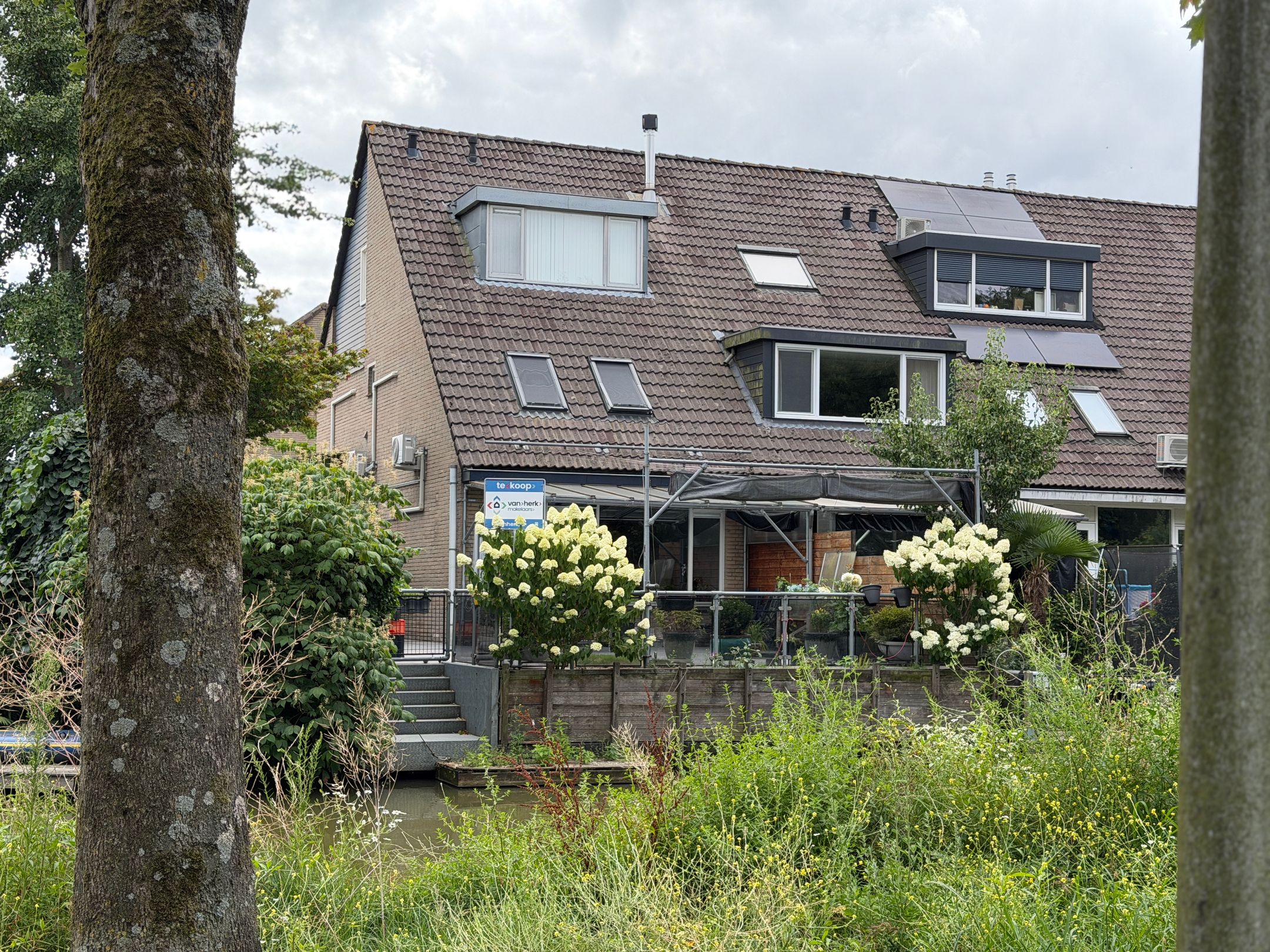 Foto 42 van Begoniaveld 45