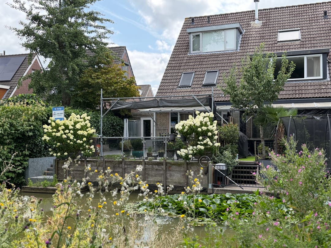 Foto 1 van Begoniaveld 45