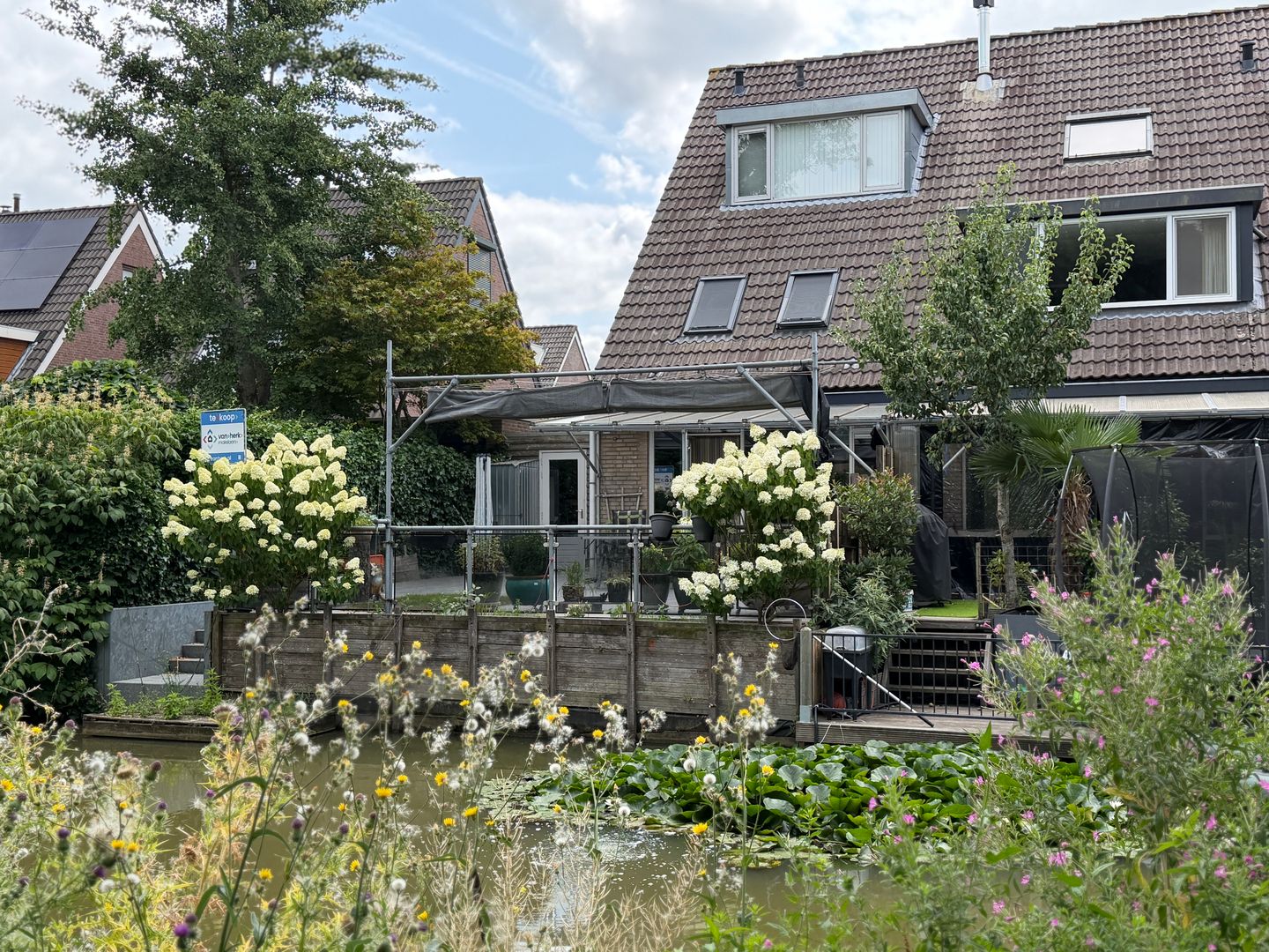 Foto 1 van Begoniaveld 45