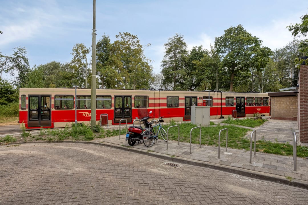 Photo 23 of De Haar 162