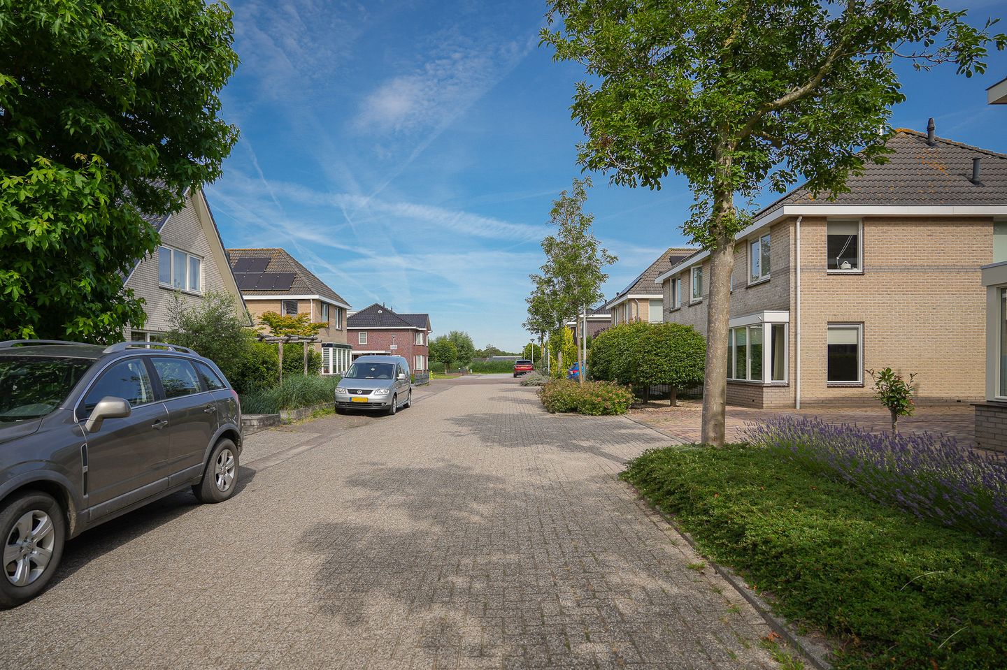 Foto 40 van Donkerbos 37
