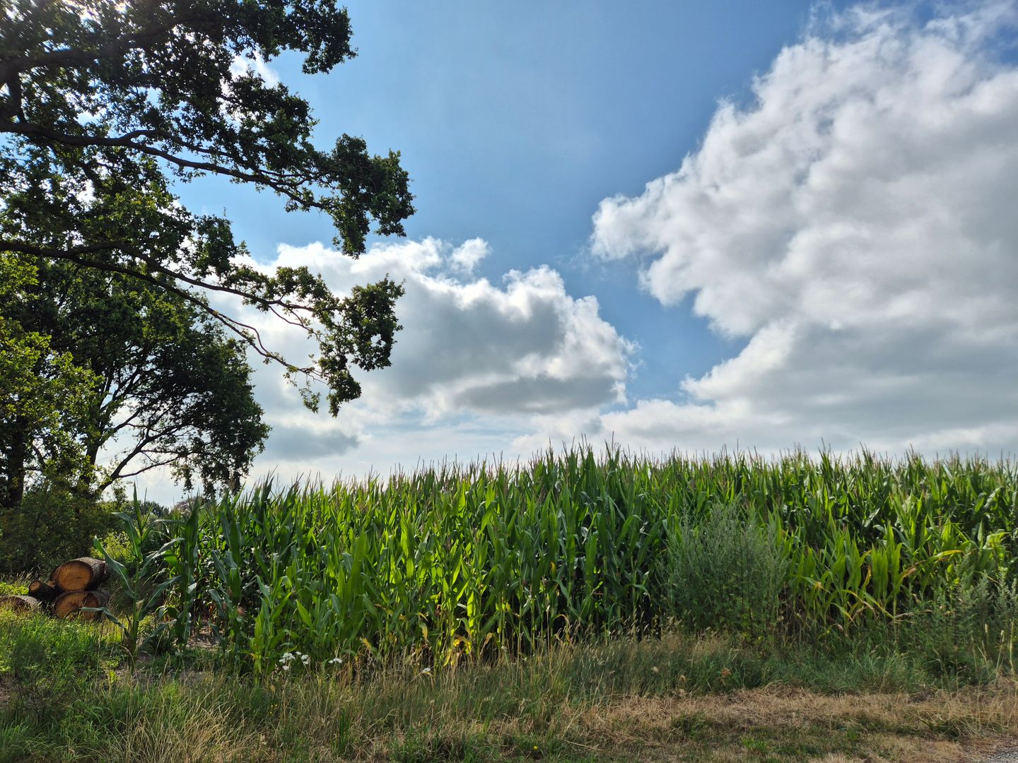 Hessenweg - Achterveld (UT) - Afbeelding 1