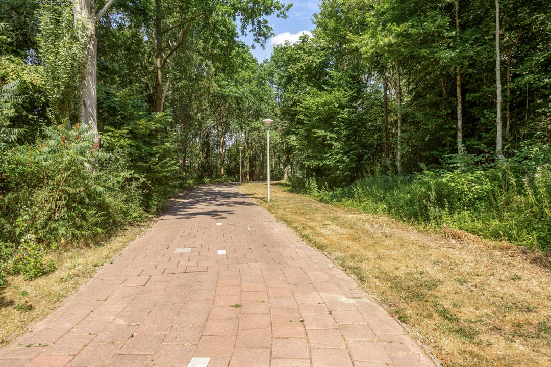 Photo 53 of Colijnspolder 5