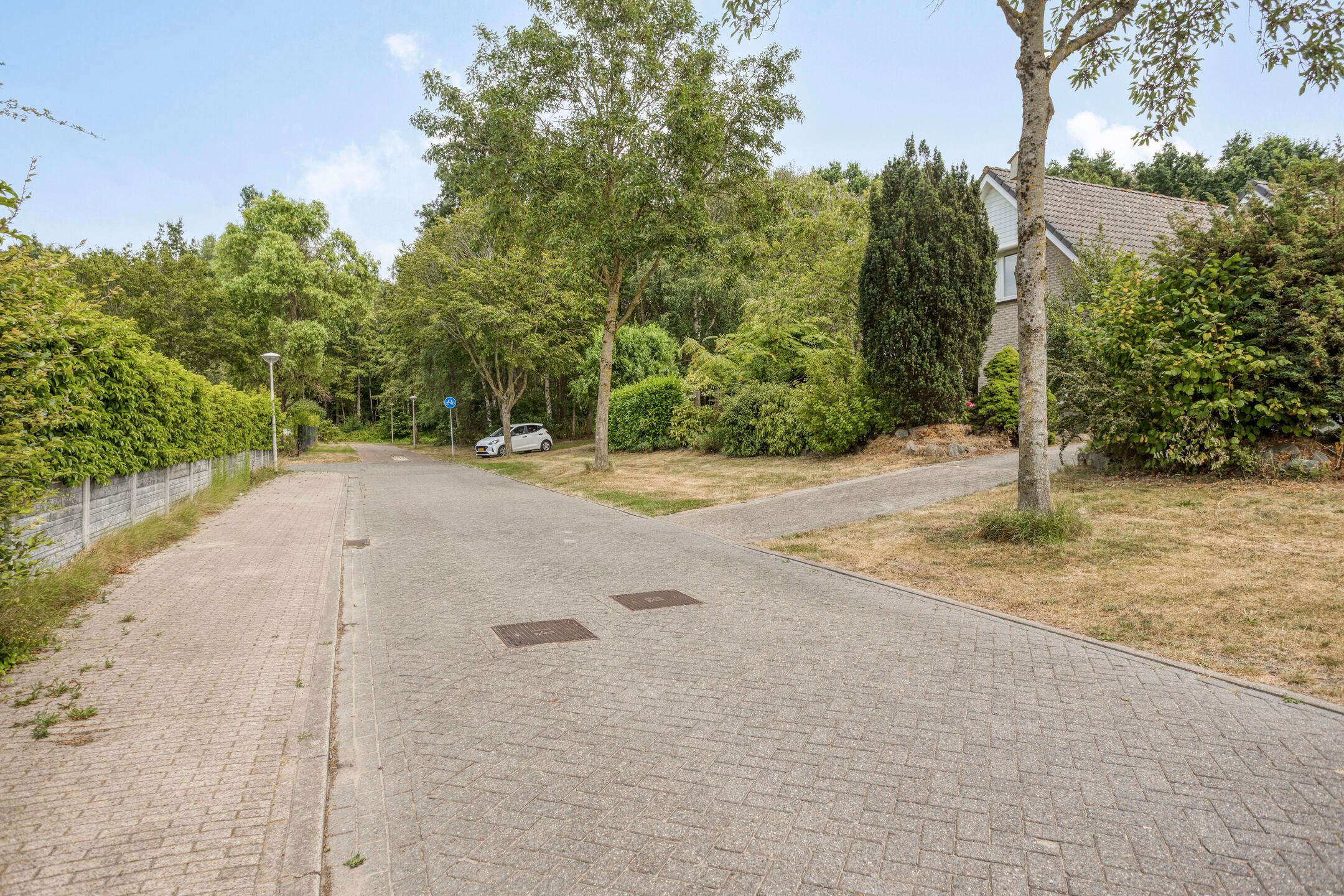 Photo 51 of Colijnspolder 5
