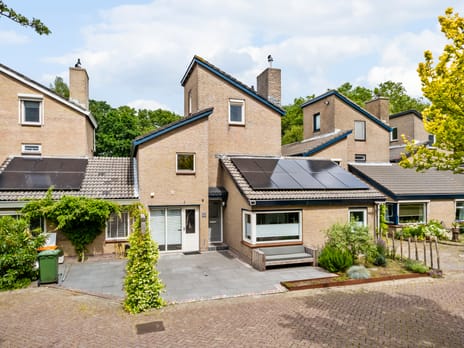 Esdoorn thumbnail