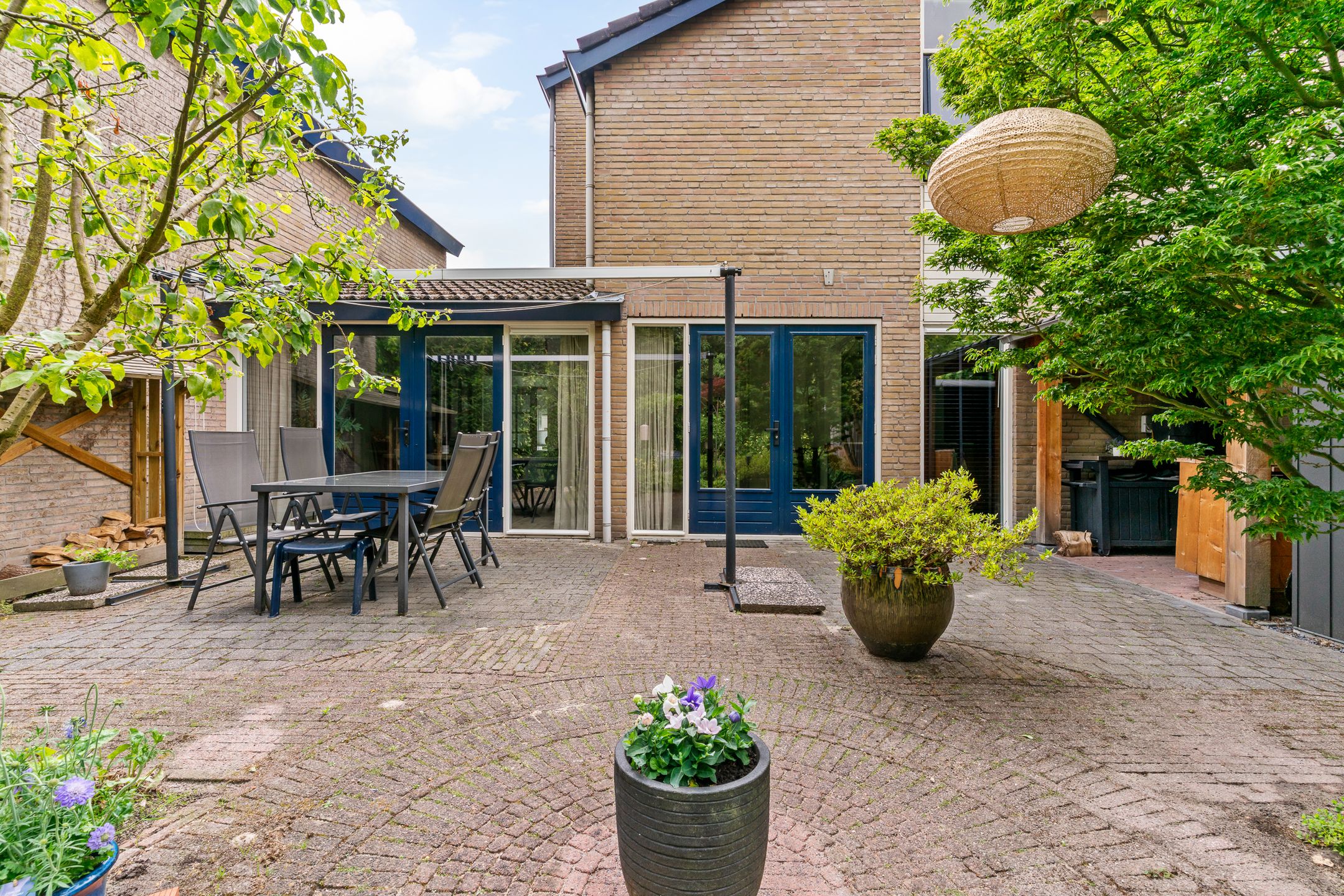 Foto 48 van Esdoorn 22