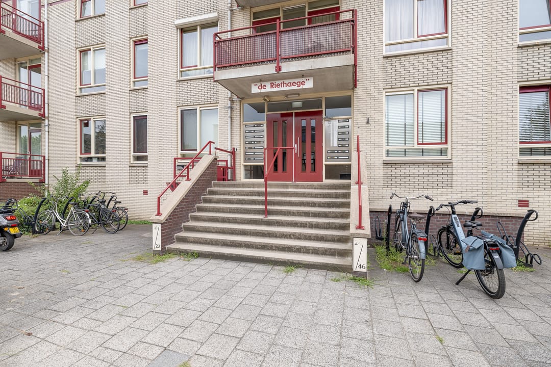 Foto 43 van Bongerd 24