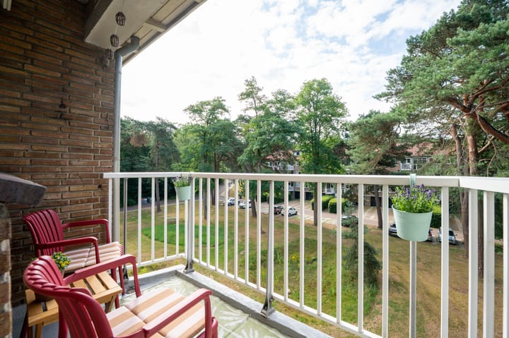 Appartement te koop: Kappeyne van de Coppellolaan 66C, Amersfoort