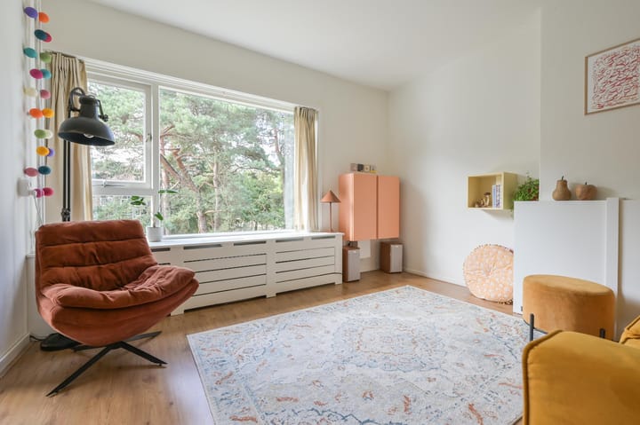 Appartement te koop: Kappeyne van de Coppellolaan 66C, Amersfoort