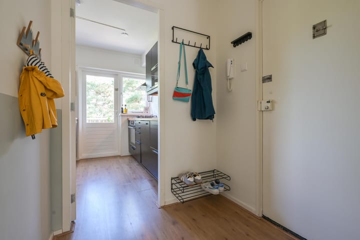 Appartement te koop: Kappeyne van de Coppellolaan 66C, Amersfoort