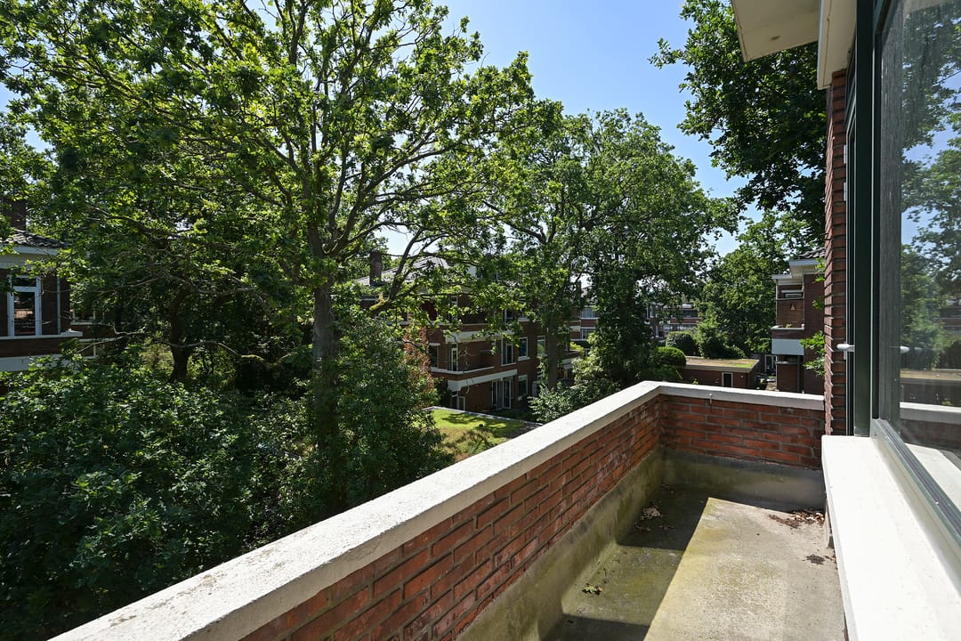 Photo 22 of Van Neckstraat 49