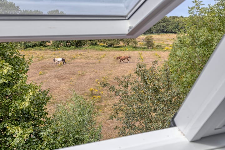 Foto 3 van Lindelaan 23-E