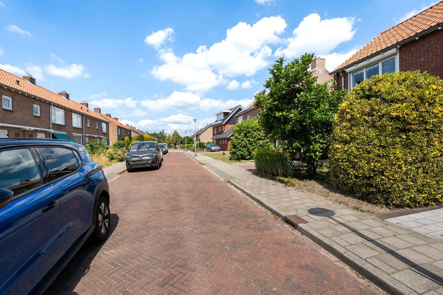 Photo 35 of Meidoornstraat 17