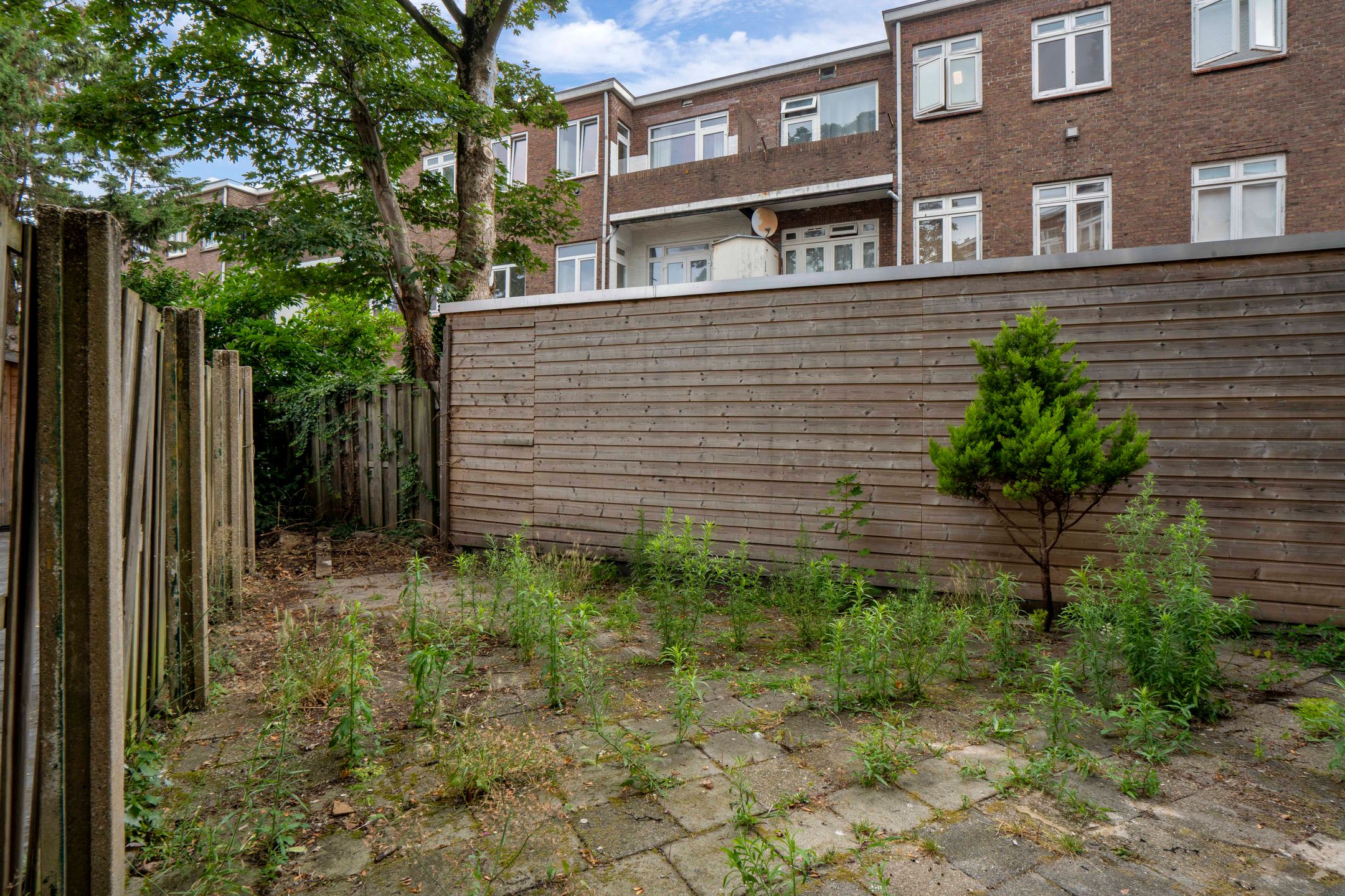 Photo 24 of Linnaeusstraat 13