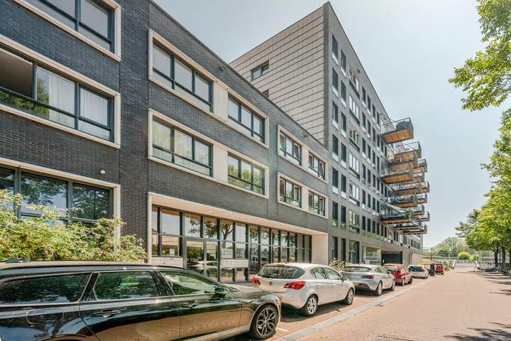 Foto 4 van Westerdok 252