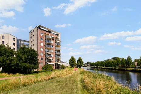 Lotusstraat thumbnail
