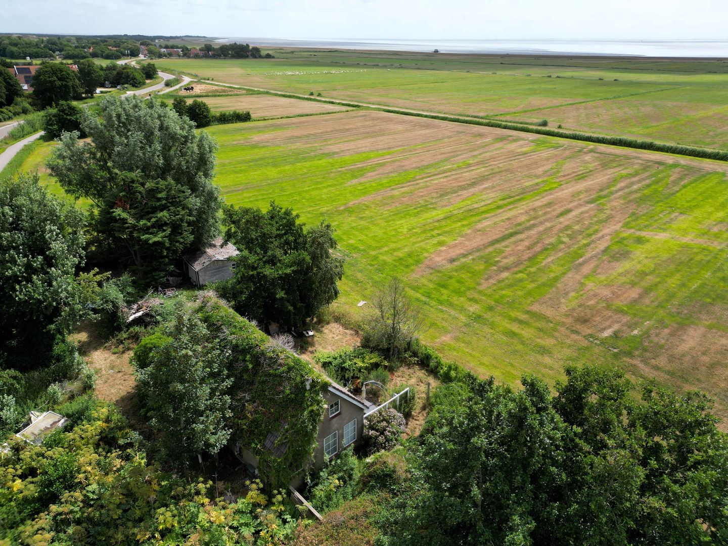 Foto 4 van Oosterend 2-A