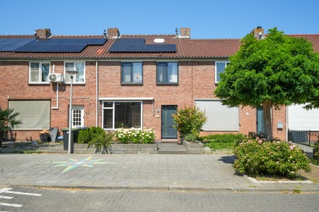 Papaverstraat thumbnail