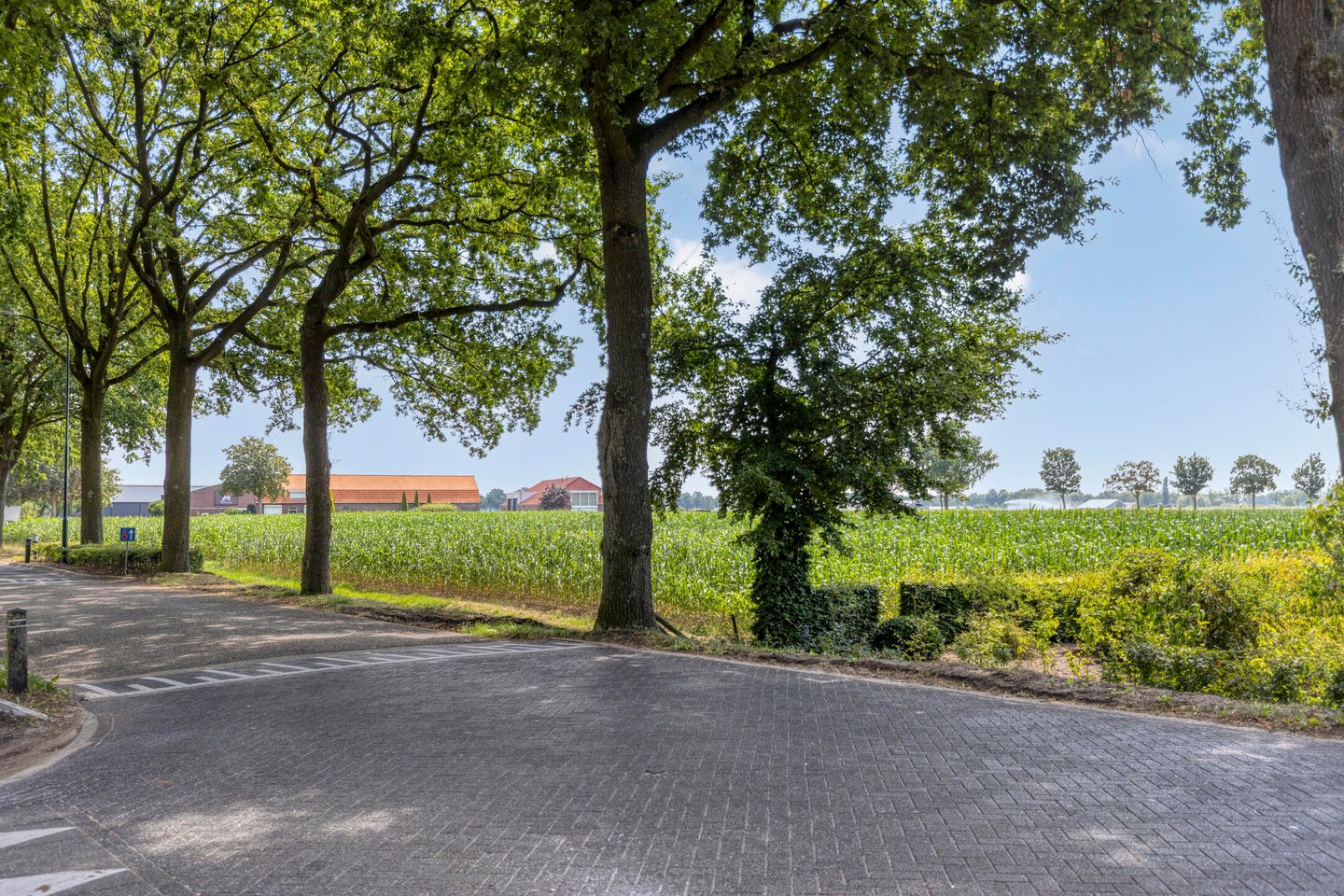 Photo 74 of Statenweg 65