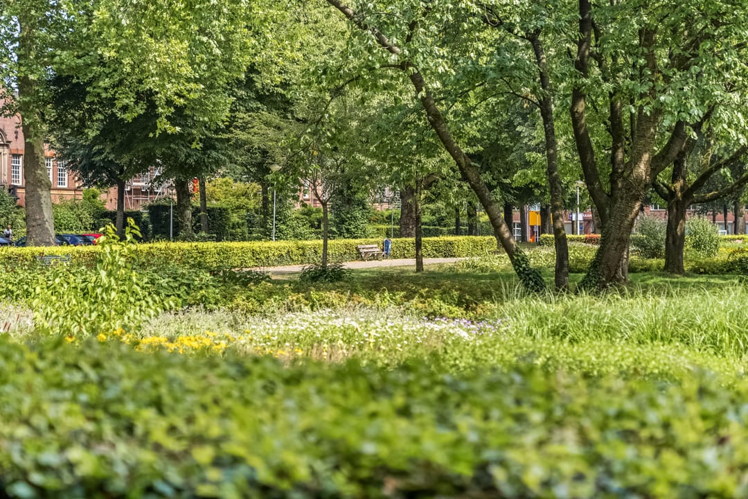 Photo 41 of Graaf Hendriklaan 27