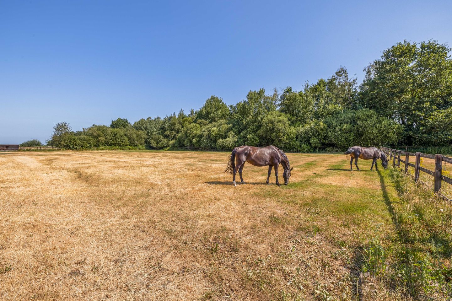 Bekijk foto 4 van Meerseweg 4
