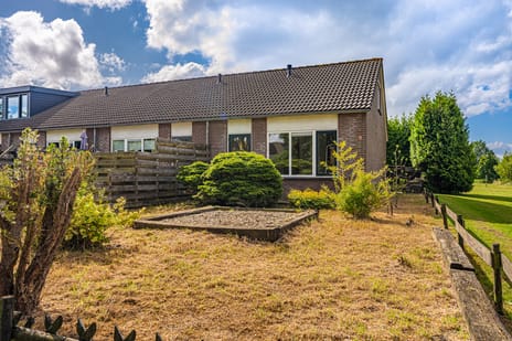 Duivenslag thumbnail