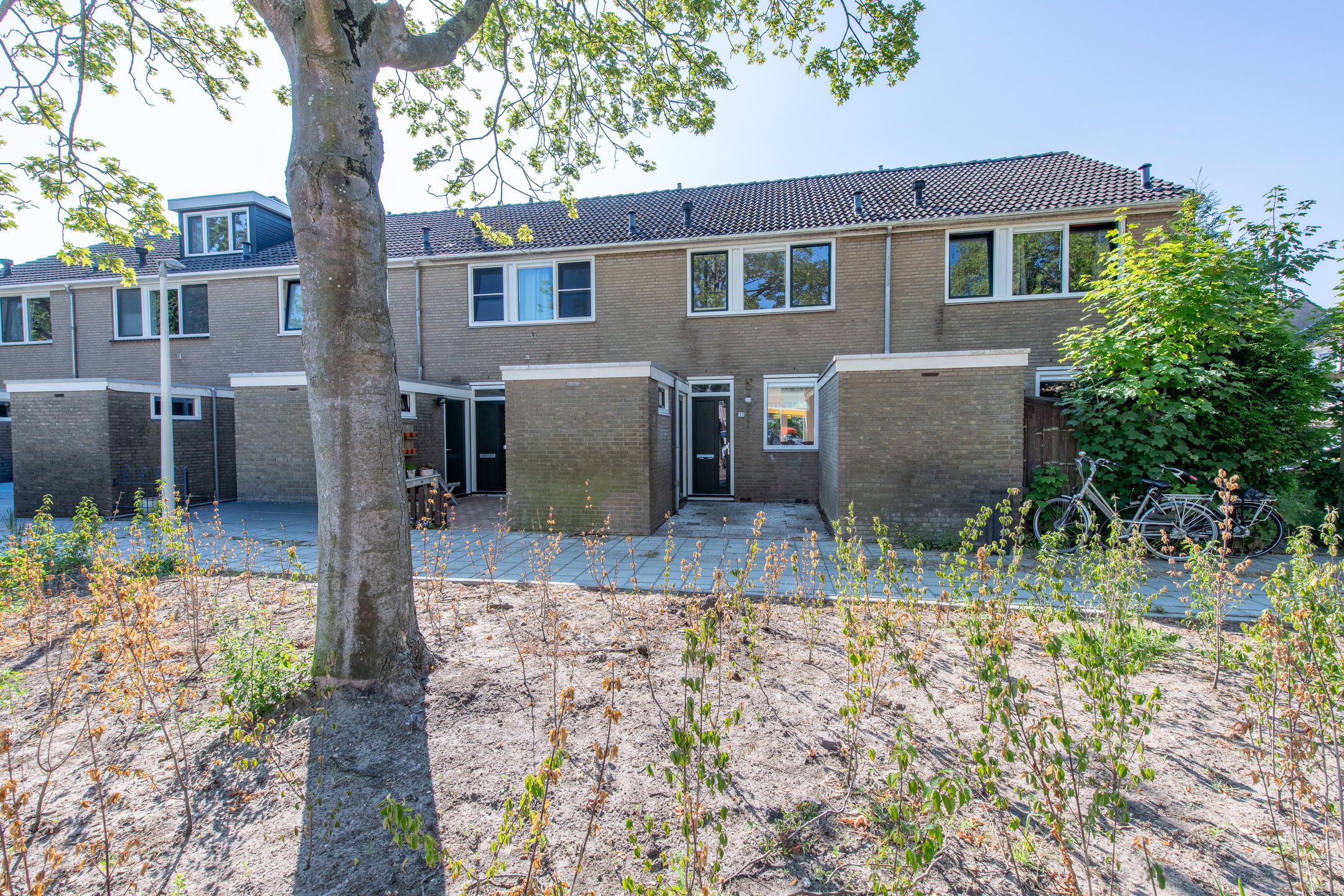 Bolksbeek 33 