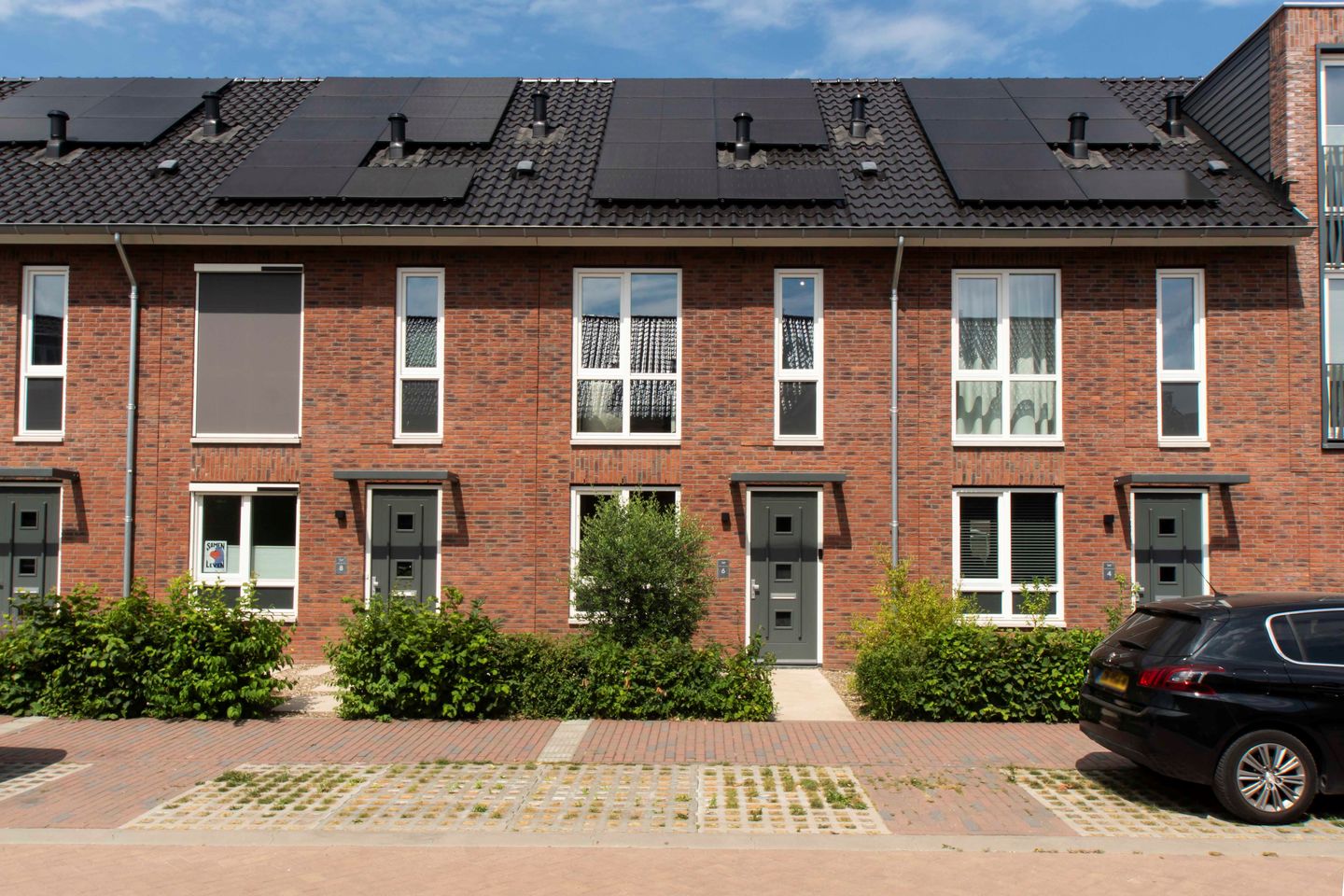 Foto 1 van Boommarter 6