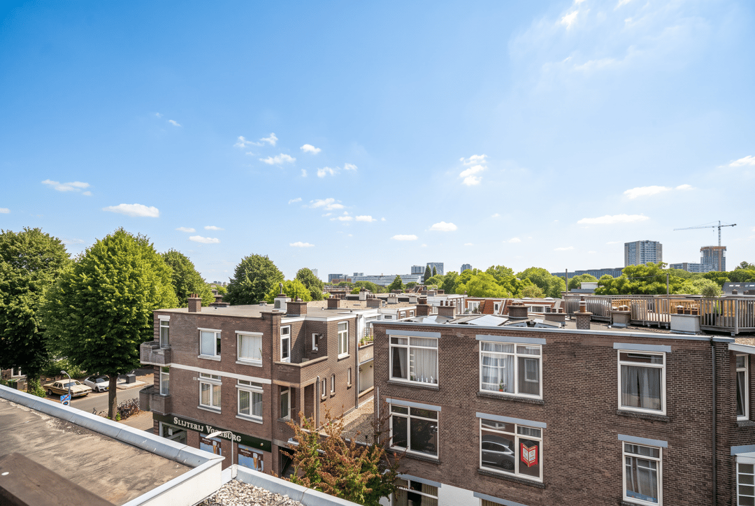 Foto 46 van van Wassenaerstraat 18