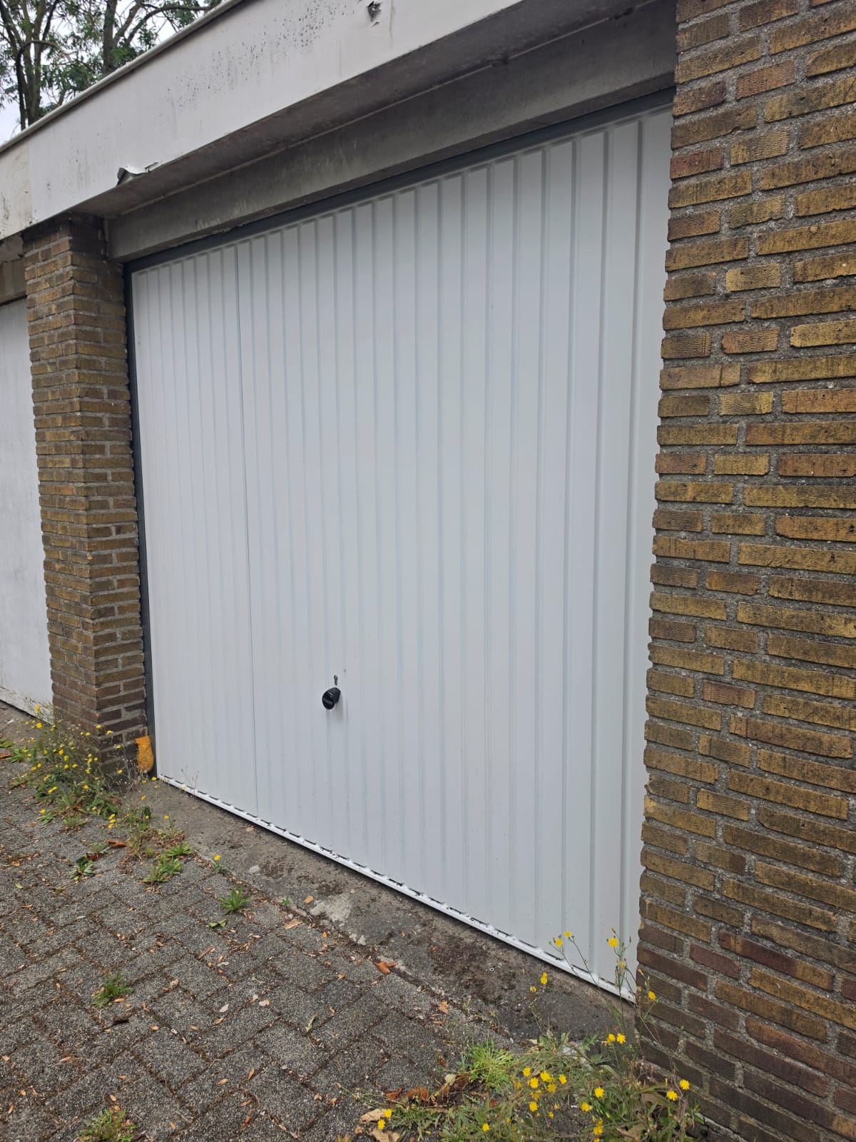 Adriaen Mijnlieffstraat  false