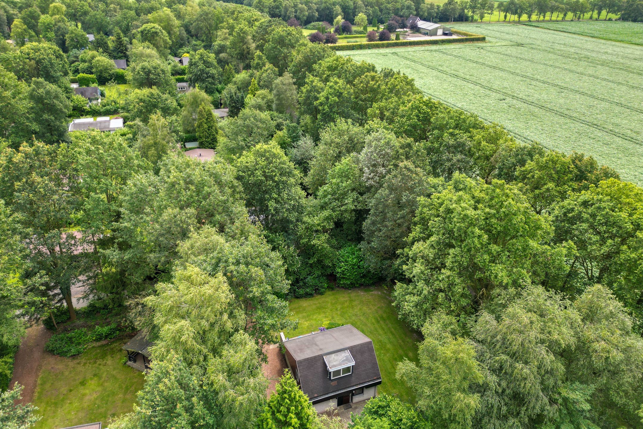 4-bedroom freehold villa in Geesbrug — photo 3 of 5