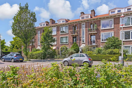 Tortellaan thumbnail