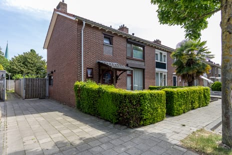 Van Halenstraat thumbnail