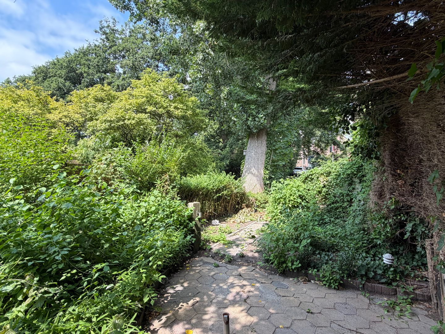 Photo 19 of Kosterstuin 116