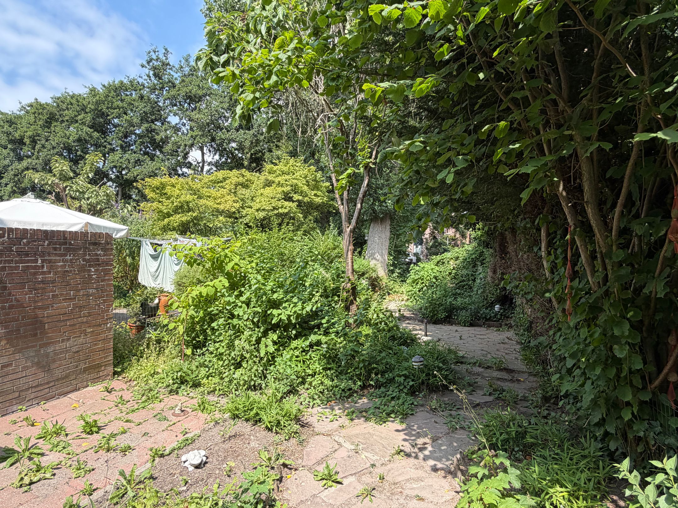 Photo 18 of Kosterstuin 116